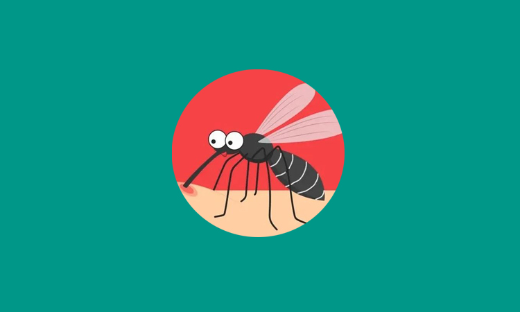 302 dengue patients hospitalized in Khulna in 24hrs